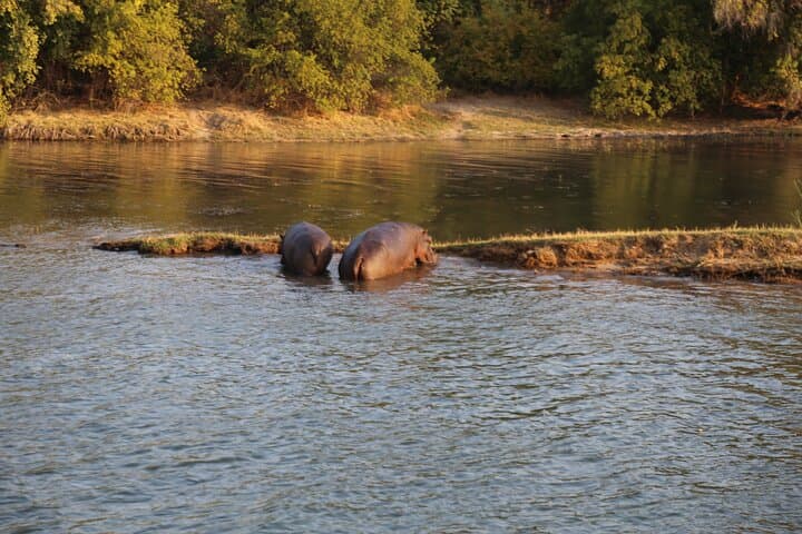 Victoria Falls Helicopter Scenic Flight and Classic Zambezi Dinner Cruise photo 4