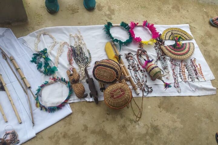 Guarani Village and Bertioga Beaches Day Tour from São Paulo photo 2