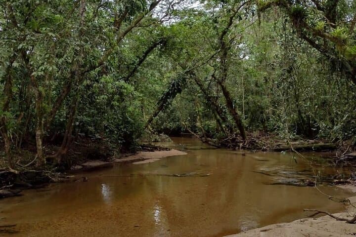 Guarani Village and Bertioga Beaches Day Tour from São Paulo photo 3