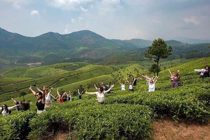 Munnar Tea Trail: Lockhart Plantation Walk, Orthodox Factory Tour & Tea Tasting photo 6