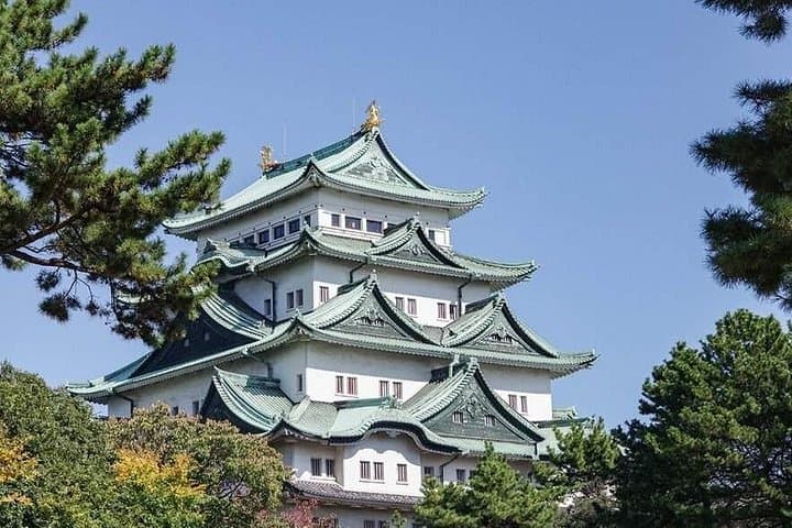 Nara Todai-ji and Kuroshio Market Day Tour from Osaka photo 3