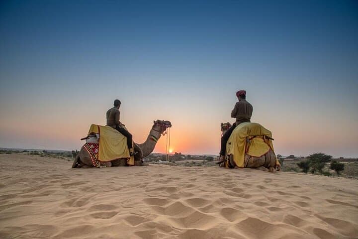 Thar Camel Safari from Jodhpur — Authentic Osian Desert Experience