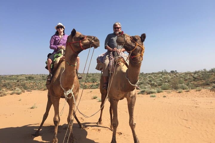 Thar Camel Safari from Jodhpur — Authentic Osian Desert Experience photo 2