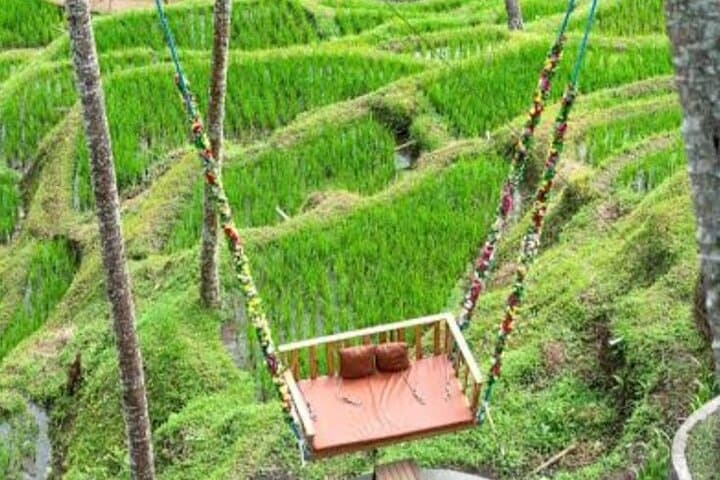 Bali 4-Day Guided Tour: Temples, Rice Terraces & Rafting from Seminyak photo 5