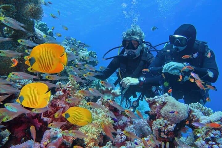 Phuket PADI Refresher: 3-Dive Confidence Boost from Chalong photo 4