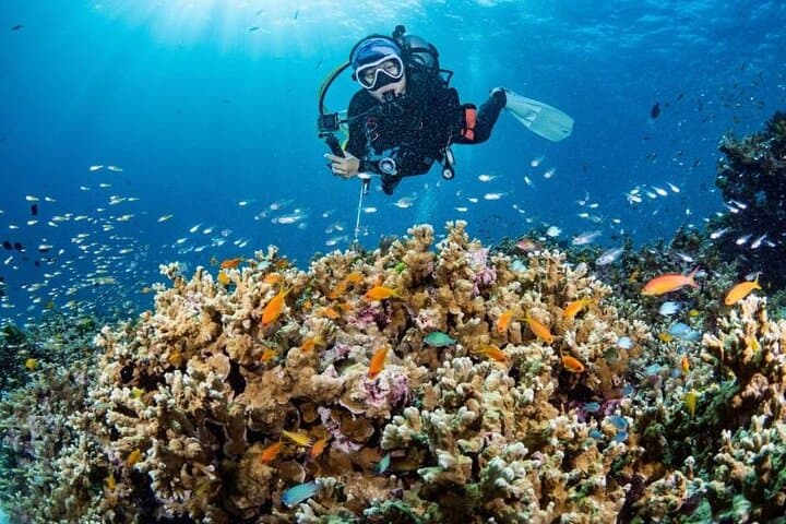Phuket PADI Refresher: 3-Dive Confidence Boost from Chalong