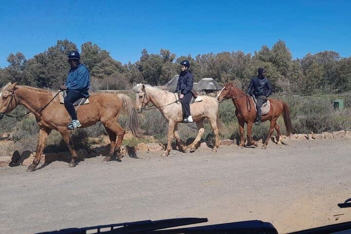 Cape Town to Aquila Sunset Safari: All-Inclusive Big Five Game Drive photo 6