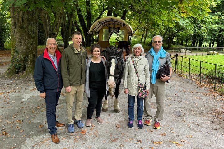 Exploring Killarney and Kerry: A Private Scenic Tour from Cork photo 3