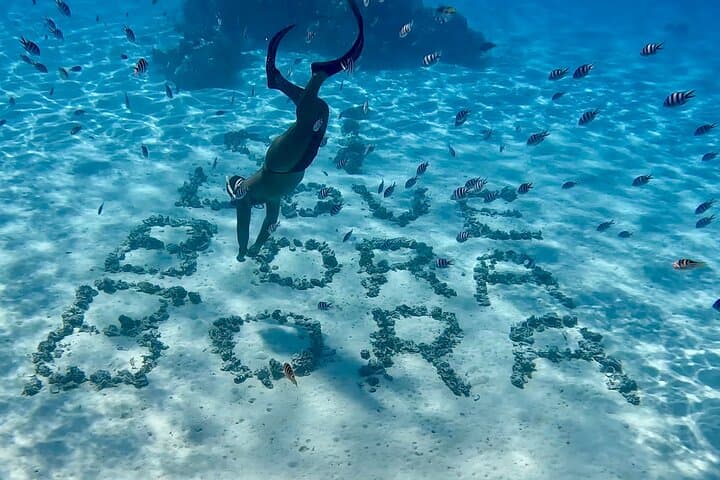 Bora Bora Lagoon: Jet-Boat Snorkel & Motu Barbecue photo 5