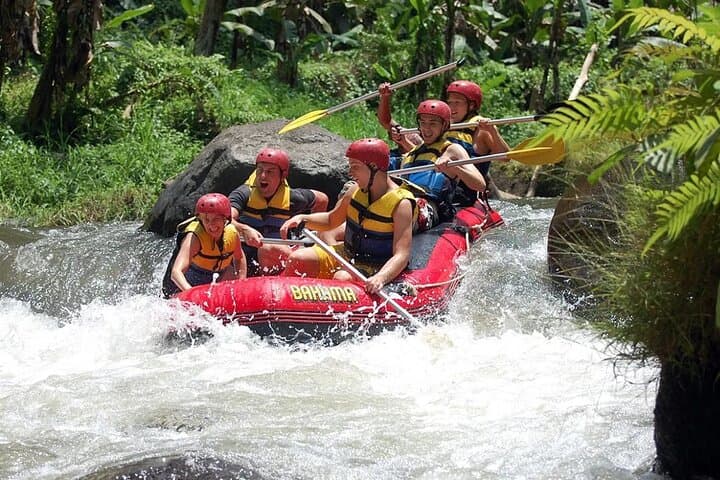 Ayung River Rafting Bali: Half-Day Whitewater Adventure with Lunch