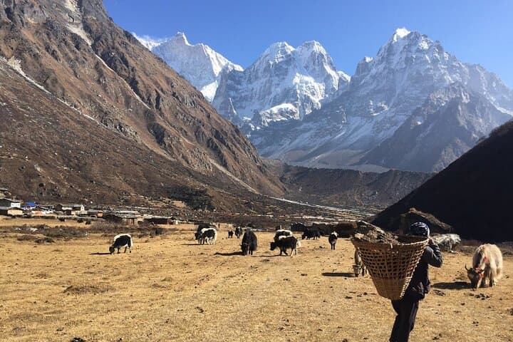Kangchenjunga Circuit Trek: South & North Base Camp 17-Day Acclimatized Route photo 3