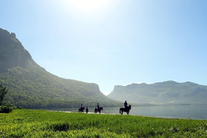 Horseback Ride Up Le Morne Brabant: Coastal Trails & Lagoon Swim