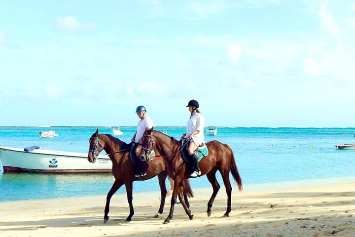 Horseback Ride Up Le Morne Brabant: Coastal Trails & Lagoon Swim photo 2