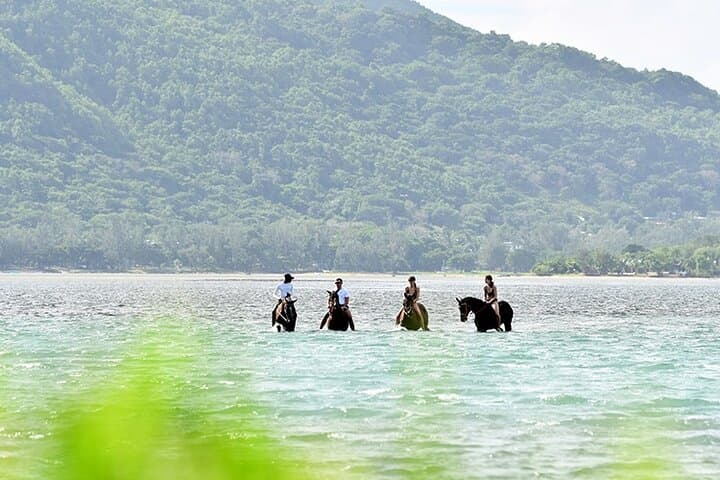 Horseback Ride Up Le Morne Brabant: Coastal Trails & Lagoon Swim photo 3