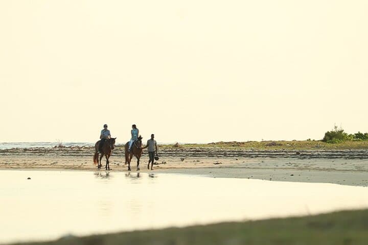 Horseback Ride Up Le Morne Brabant: Coastal Trails & Lagoon Swim photo 4