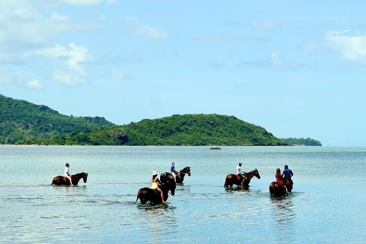 Horseback Ride Up Le Morne Brabant: Coastal Trails & Lagoon Swim photo 5