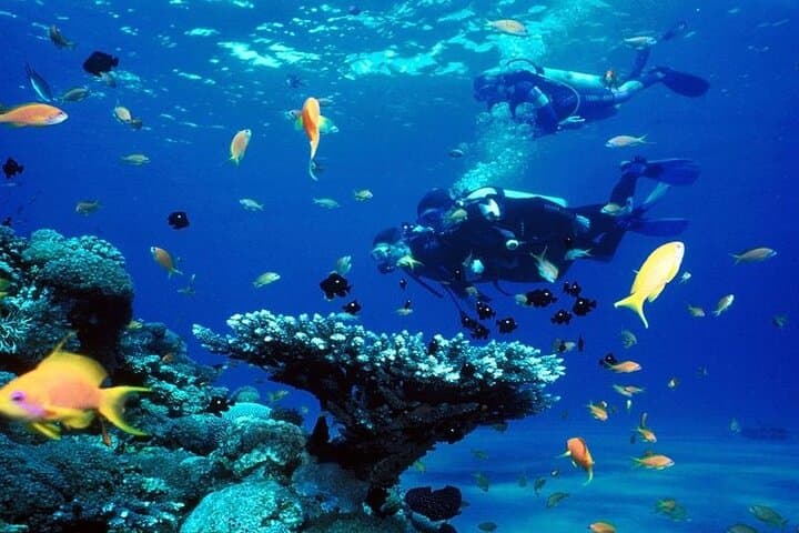Advanced PADI Diving Course in Hurghada: 5-Dive Training, Deep Skills & Boat Lunch photo 3