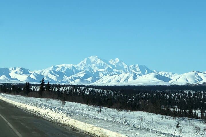 Fairbanks to Denali Winter SHERP Adventure — Full-Day Off‑Road Tour photo 5