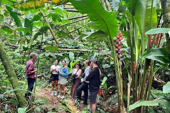 Evelyza Cacao Farm Tour: Hands-On Chocolate Workshop in Circasia photo 2
