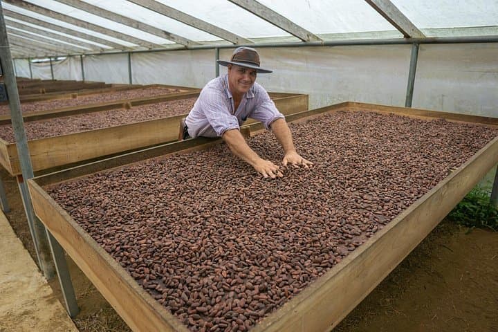 Evelyza Cacao Farm Tour: Hands-On Chocolate Workshop in Circasia photo 3