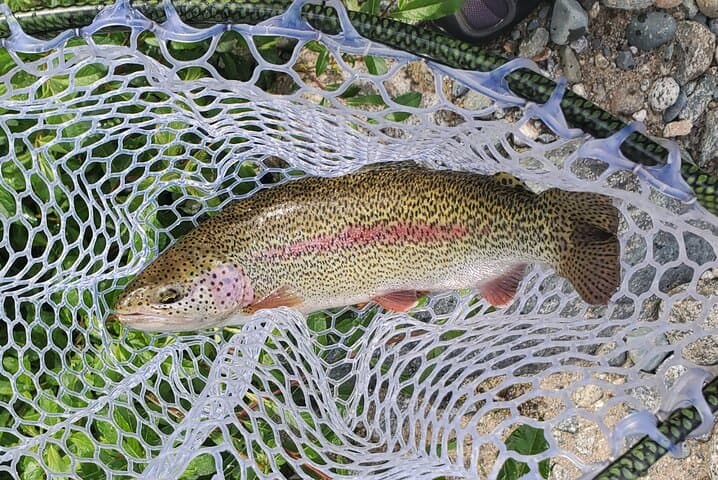 Anchorage Guided Fly Fishing: Full-Day River Trip Near Anchorage photo 3