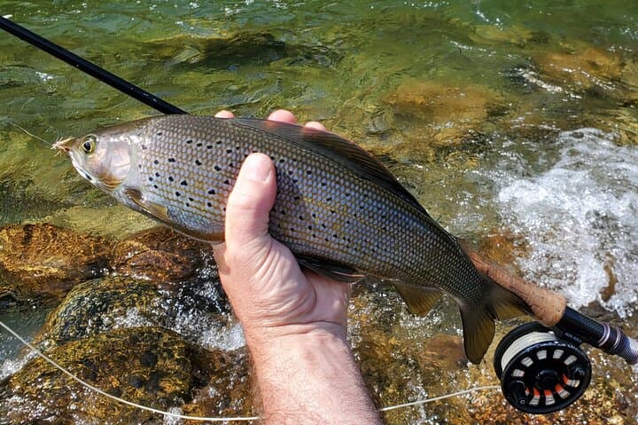 Anchorage Guided Fly Fishing: Full-Day River Trip Near Anchorage photo 4
