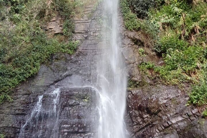 Blue Mountains Peak Hike: Sunrise Trek to Jamaica's Highest Vistas photo 6