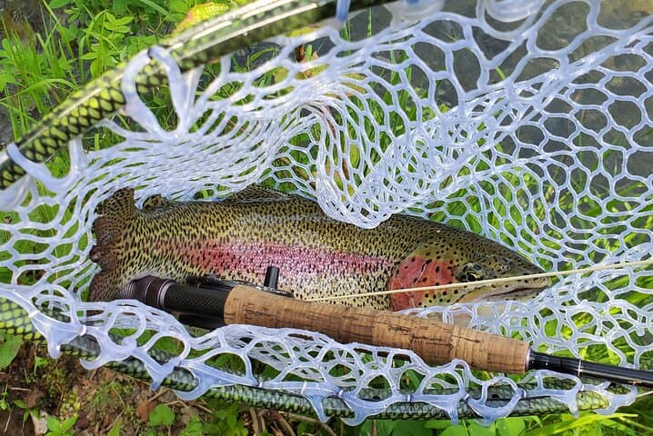 Anchorage Guided Fly Fishing: Full-Day River Trip Near Anchorage photo 6