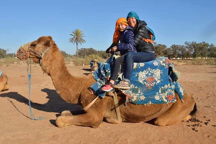 Camel Riding in Agadir: 2–3 Hour Berber Desert & Beach Ride with Tea photo 4