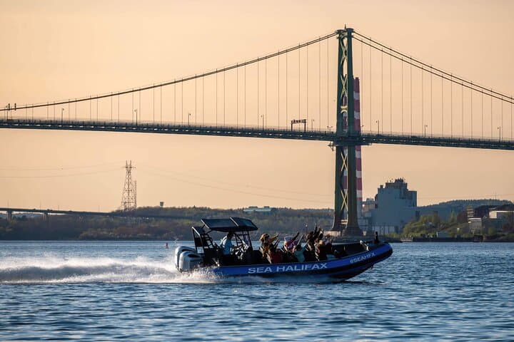 Halifax Harbour High-Speed Historical & Wildlife Tour photo 6