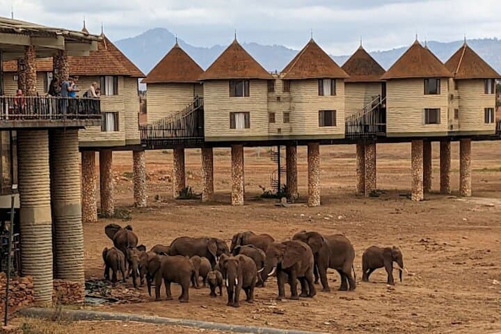 2-Day Private Taita Hills Game Sanctuary Safari from Mombasa photo 2