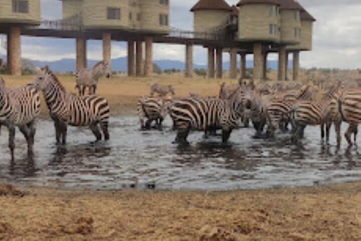 2-Day Private Taita Hills Game Sanctuary Safari from Mombasa photo 5