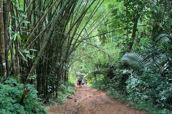 El Yunque Hidden Waterpark Tour from San Juan — Rockslides, Rainforest Pools & Luquillo Kiosks photo 3