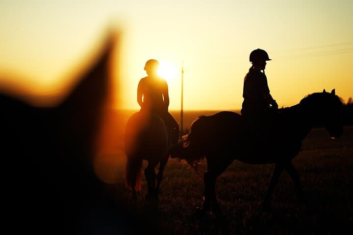 Jogevamaa Horseback Ride: Hands-On Farm Experience Near Tartu photo 6