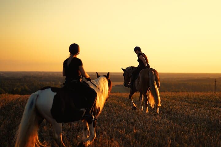 Jogevamaa Horseback Ride: Hands-On Farm Experience Near Tartu photo 5
