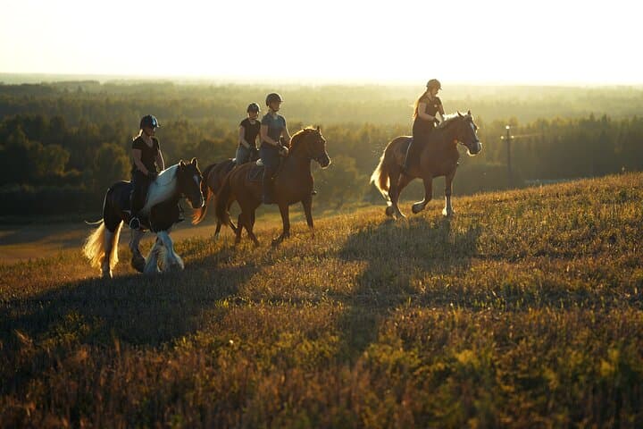 Jogevamaa Horseback Ride: Hands-On Farm Experience Near Tartu photo 2
