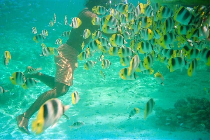 Private Half-Day Sailing on Tahiti's Blue Lagoon with Snorkeling and Wreck Dive photo 3