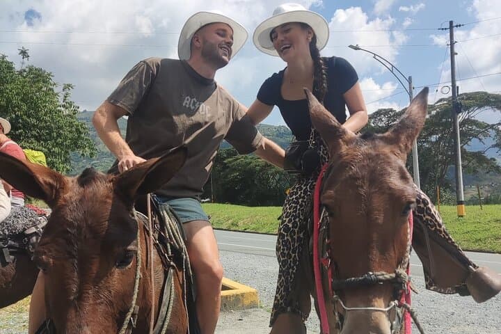 Guided Horseback Riding Adventure Near Medellín — Llanogrande Ranch Ride