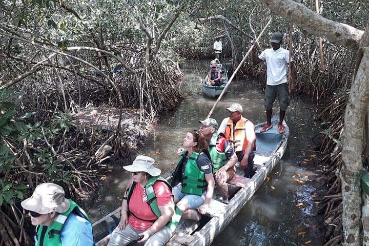 Canoe Through Cartagena's Mangrove Tunnels: La Boquilla Eco Tour photo 2