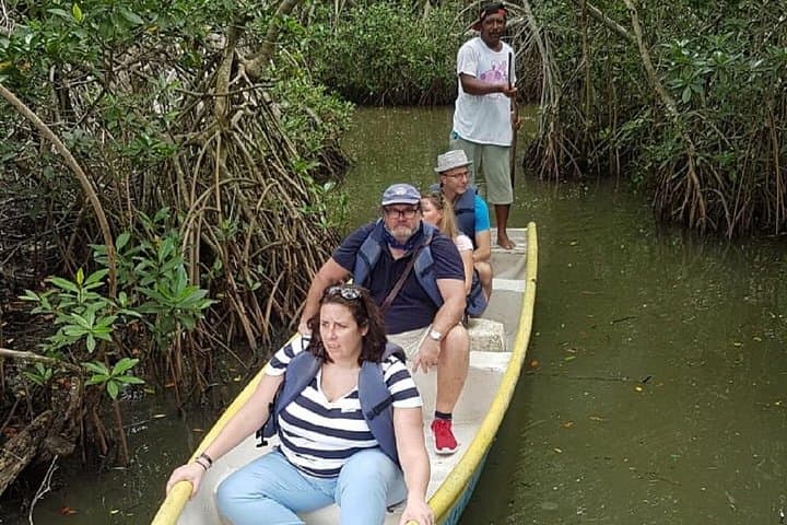 Canoe Through Cartagena's Mangrove Tunnels: La Boquilla Eco Tour photo 3