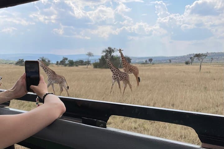 One Day Akagera Wildlife Safari — Big Five Game Drive from Kigali photo 3