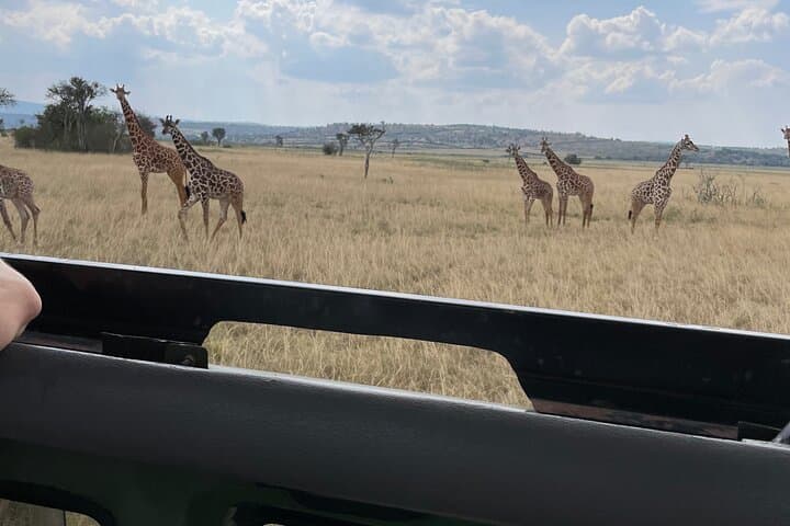 One Day Akagera Wildlife Safari — Big Five Game Drive from Kigali photo 4