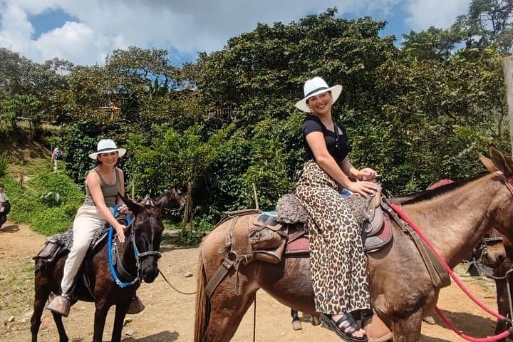Full-Day Zipline, ATV & ATV Horseback Adventure Near Medellín photo 4