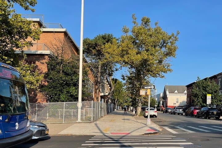 Sound Meditation and Freedom Walk in Bedford-Stuyvesant, Brooklyn photo 6