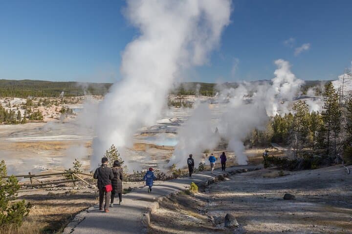 Yellowstone in a Day: Lamar Valley Wildlife, Mammoth Terraces & Canyon Views