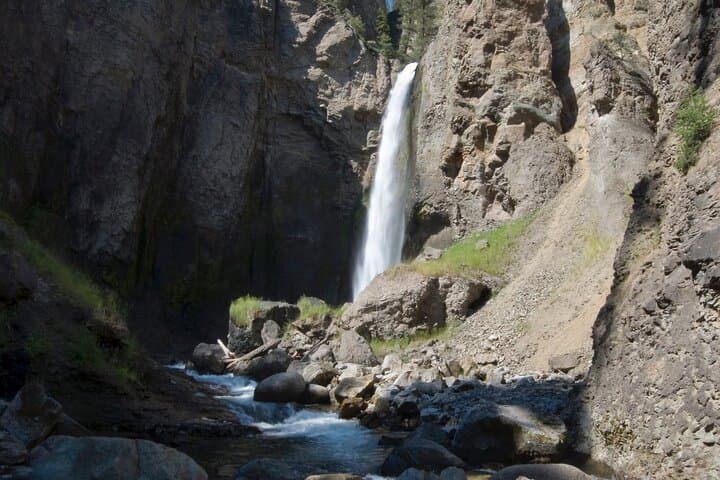Yellowstone in a Day: Lamar Valley Wildlife, Mammoth Terraces & Canyon Views photo 5