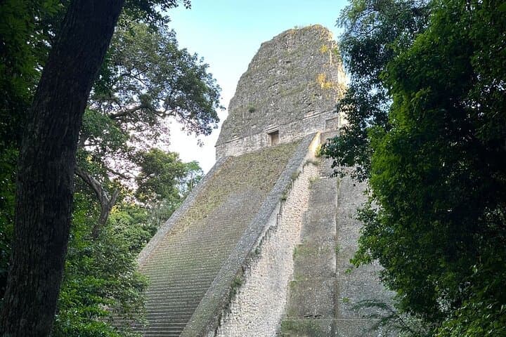 Private Day Tour to Tikal from Flores — All-Inclusive Guided Visit photo 3
