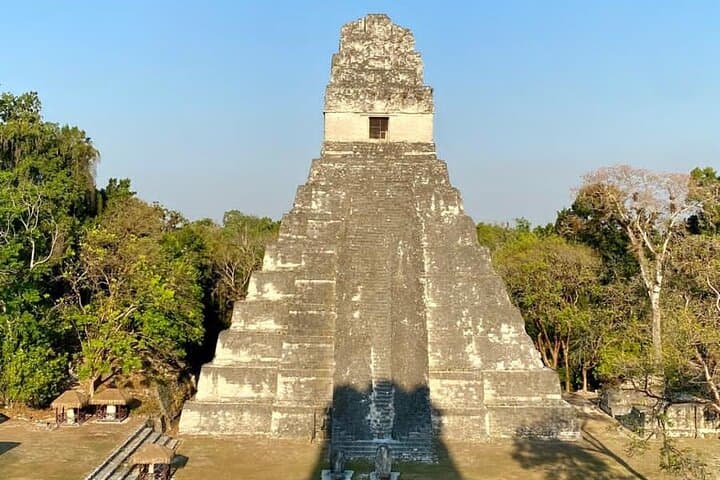 Private Day Tour to Tikal from Flores — All-Inclusive Guided Visit photo 5