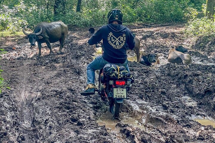 Chiang Mai Mountain Scooter Adventure: 2-Day Remote Village & River Overnight photo 6