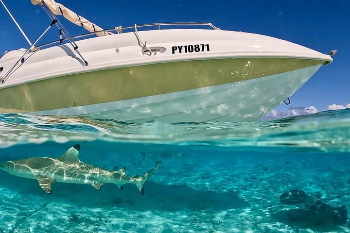 Bora Bora Jet Boat & Snorkeling Tour — Rays, Sharks and Coral Lagoons photo 1